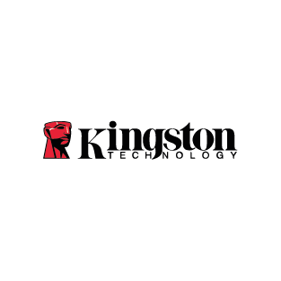 Marcas safenet v3_KINGSTON